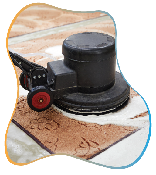 carpet cleaning in new jersey, carpet cleaning in new jersey, carpet cleaning new jersey, carpet cleaners in new jersey, carpet cleaners in new jersey, commercial carpet cleaning, commercial carpet cleaning in new jersey, new jersey rug cleaners, rug cleaning services in new jersey, same day carpet cleaning, same day rug cleaning
