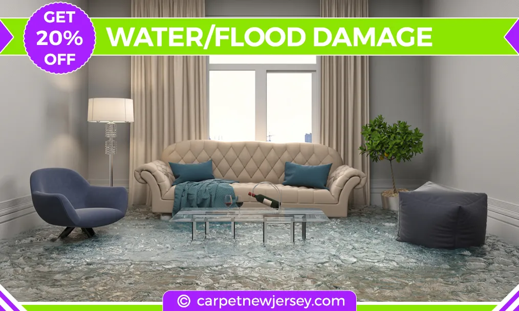 carpet cleaning in new jersey, carpet cleaning in new jersey, carpet cleaning new jersey, carpet cleaners in new jersey, carpet cleaners in new jersey, commercial carpet cleaning, commercial carpet cleaning in new jersey, new jersey rug cleaners, rug cleaning services in new jersey, same day carpet cleaning, same day rug cleaning