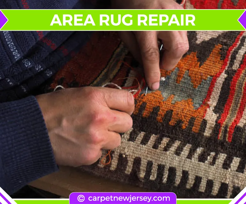 carpet cleaning in new jersey, carpet cleaning in new jersey, carpet cleaning new jersey, carpet cleaners in new jersey, carpet cleaners in new jersey, commercial carpet cleaning, commercial carpet cleaning in new jersey, new jersey rug cleaners, rug cleaning services in new jersey, same day carpet cleaning, same day rug cleaning